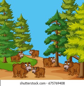 Grizzly bears in pine forest illustration