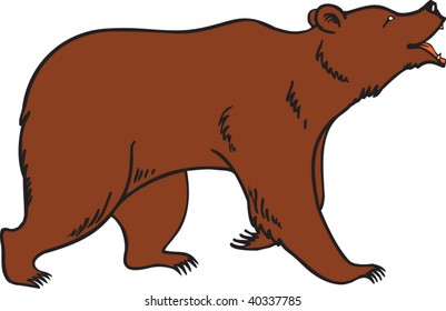 Grizzly brown bear