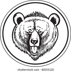 Grizzly brown bear