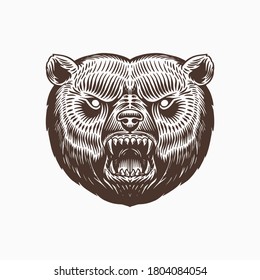 Grizzly brown bear. Screaming mad animal for tattoo or label. Roaring beast. Engraved hand drawn line art Vintage old monochrome sketch. Vector illustration.