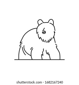 Grizzly line icon. Isolated on white background