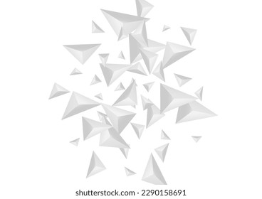 Grizzly Polygon Hintergrund, weißer Vektorgrafik. Renderhintergrund aus dem Schatten. Silberkunstkarte. Kristallkonzept. Hoar Fractal Tile.