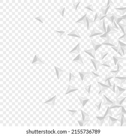 Grizzly Pyramid Hintergrund Transparenter Vektorgrafik. Origami Clean Illustration. Silver Elegantes Design. Triangle Luxury. Hoar Polygon Tile.