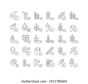 Groats. Collection of perfectly thin icons for web design, app, and the most modern projects. The kit of signs for category Food and Drink.