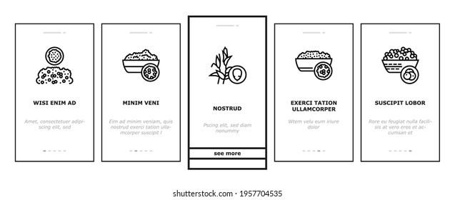 Groats Natural Food Onboarding Mobile App Page Screen Vector. Amaranth And Artek, Rice And Corn, Beans And Couscous, Peas And Quinoa Groats Illustrations