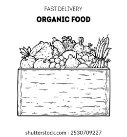 Esboço da cesta de supermercado. Comida orgânica em caixa. Frutas e legumes. Alimentos naturais para o mercado de agricultores. Ilustração de vetor desenhada à mão.