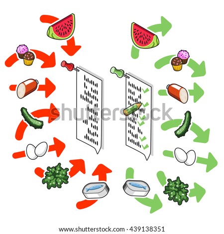 Grocery shopping list checked off, containing various food such as melon, muffins, cucumber, eggs, salad and sardines (isometric illustration)