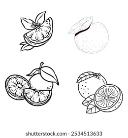 Grocery Shopping Vector Silhouette design