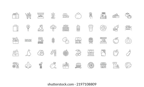 Ilustración conceptual de tienda de comestibles, iconos lineales, conjunto de señales de línea, colección de vectores
