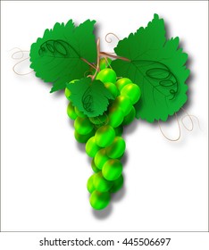 Grona green grapes