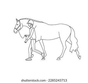 Groom walking with a horse. Equestrian sport.