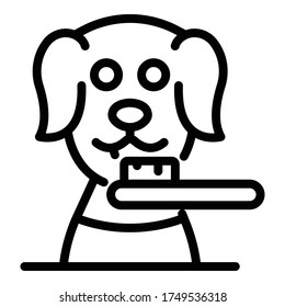 Groomer dog brush icon. Outline groomer dog brush vector icon for web design isolated on white background