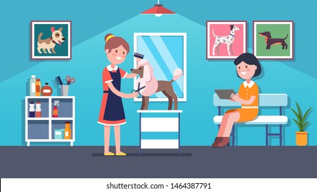 Groomer Woman Doing Poodle Dog Haircut In Dog Grooming Salon. Owner Client Waiting. Smiling Canine Hairdresser Cutting Hair. Interior Design With Doggy Pictures. Flat Vector Illustration