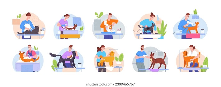 Groomers service. Dog and cat pet in feline or canine hairdresser salon for beauty haircut, grooming concept, people washing cat dryer fur animal care vector illustration of dog grooming service