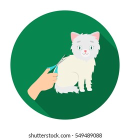 Grooming of a cat icon in flat style isolated on white background. Veterinary clinic symbol stock vector illustration.