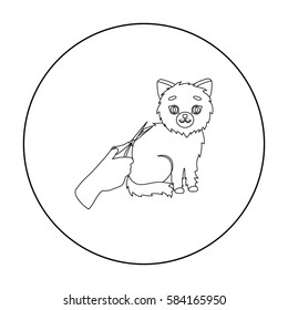Grooming of a cat icon in outline style isolated on white background. Veterinary clinic symbol stock vector illustration.