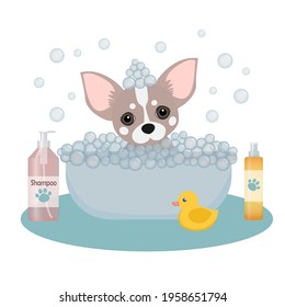 Grooming concept. Animal care. Dog in soap foam. Vector cartoon style illustration. pet shop logo design. Dog grooming logo design. Pet shop banner. chihuahua getting groomed at pet grooming salon.