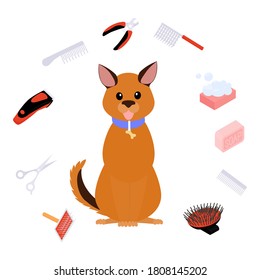 Grooming dog illustration, pet hair care. Animal beauty spa salon vector concept. Pet grooming equipment tools icons isolated on white