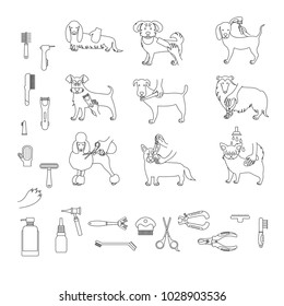 Grooming dogs of different breeds (brushing, cutting hair or trimming, eye care, ear cleaning, nail trimming,  bathing), tools and supplies.