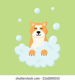 Grooming salon. Banner for grooming salon. Vector illustration in cartoon style. Cute akita in a bubble bath. Pet care.