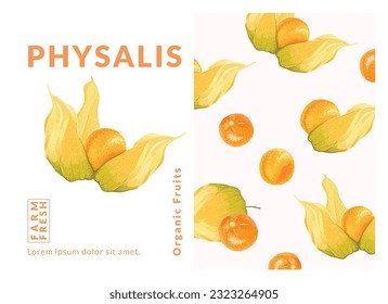 Bodenkirsche, Physalis Verpackungsdesign-Vorlagen, handgezeichnete Vektorgrafik. Kap-Stachelbeere.