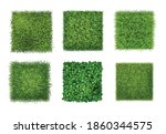 Ground cover plants background texture 6 realistic square icons set with green grass clover leaves vector illustration