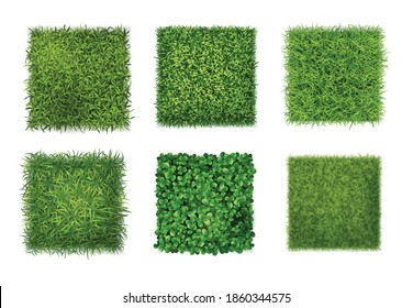 Ground cover plants background texture 6 realistic square icons set with green grass clover leaves vector illustration
