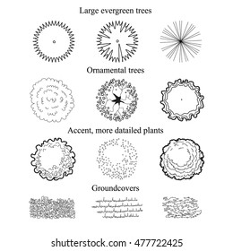 Ground covers and Trees set top view plan. Architectural symbols for landscape design and projects. vector illustration of 12 black plant objects.line  sketch on white background