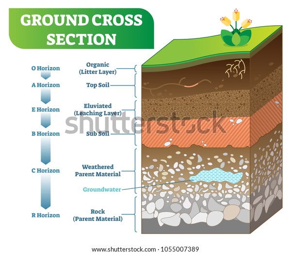 有機 表土 サブソイル その他の水平レベルを持つ地盤断面のベクターイラスト 地質情報ポスター のベクター画像素材 ロイヤリティフリー