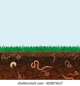 Ground cutaway with earthworms and grass.