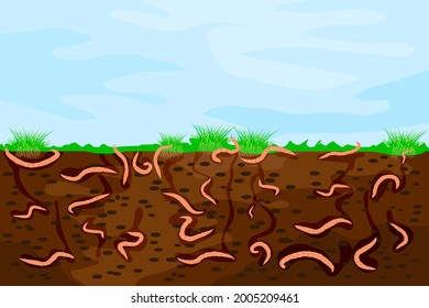 Ground cutaway with earthworms. Worms in garden soil. Air and water passage in the soil created by earthworms. Composting process with organic matter and microorganisms. Stock vector illustration