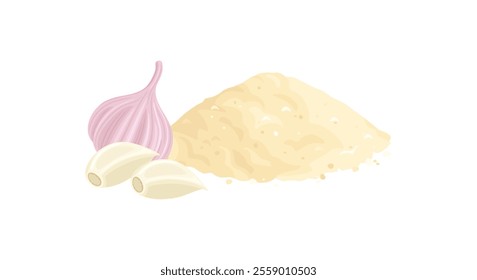 Ground dried garlic heap and head of garlic with cloves isolated on white background. Vector cartoon flat illustration. Food icon