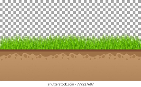Ground  with green grass On a transparent background. Vector illustrations