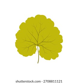 Folha de Hera moída isolada sobre fundo branco. Ilustração vetorial. Glechoma hederacea Lindo mão desenhado folha verde