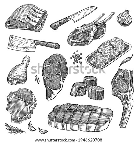 Ground meat, beef steak, pork ribs, sirloin, turkey leg, knives set. Food products vector illustration. Hand drawn elements collection. Butcher shop concept