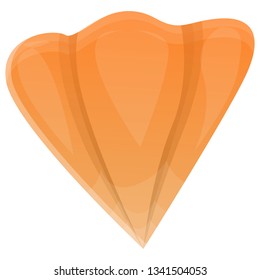 Ground physalis icon. Cartoon of ground physalis vector icon for web design isolated on white background