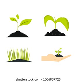 Ground plant icon set. Flat set of ground plant vector icons for web design isolated on white background