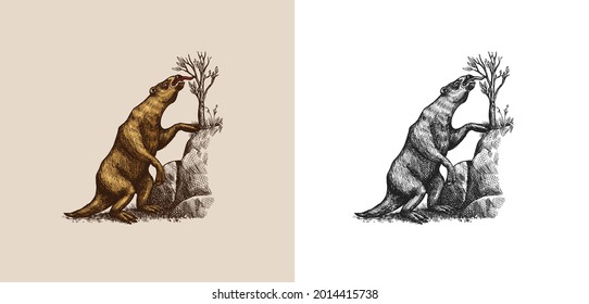 Ground Sloth Or Megatheriidae. Prehistoric Mammals. Extinct Animal. Vintage Retro Vector Illustration. Doodle Style. Hand Drawn Engraved Sketch