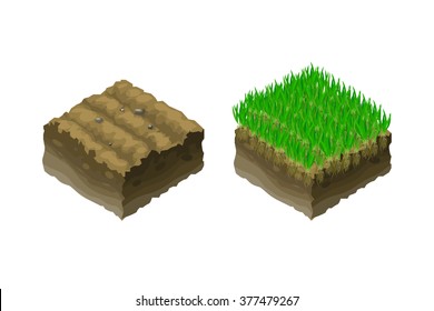 The ground or soil in an isometric sectional view - shows the growth of lawn grass, vector illustration. The improvement of the soil, arrangement of lawns.