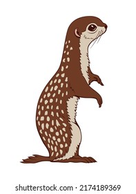 Ground Squirrel. Vector clipart isolited on white.