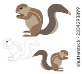 Ground squirrel xerus vector on white background