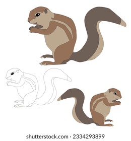 Ground squirrel xerus vector on white background