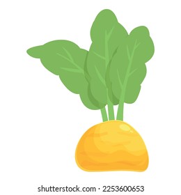 Ground turnip icon cartoon vector. Root radish. Harvest cooking