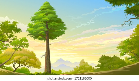 A grounded view of a large tree and the blue sky