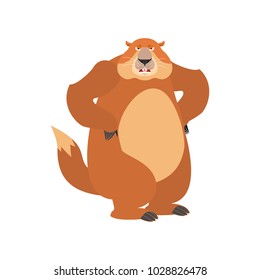 Groundhog angry. Woodchuck evil emotions avatar. Marmot aggressive. Groundhog day Vector illustration