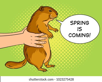 Groundhog animal in hands pop art retro vector illustration. Marmot predictor. Text bubble. Color background. Comic book style imitation.