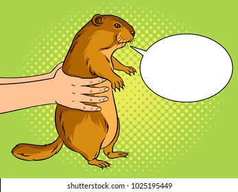 Groundhog animal in hands pop art retro vector illustration. Marmot predictor. Text bubble. Color background. Comic book style imitation.