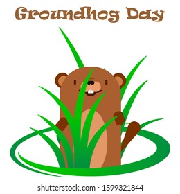 Groundhog in a bush of grass, vector art illustration.