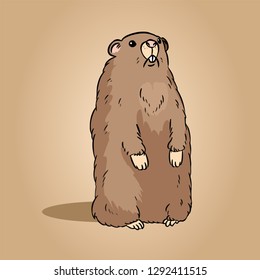 Groundhog cartoon image. Cute hand drawn animal character