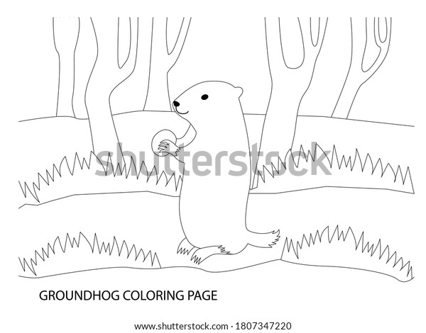 Groundhog Coloring Pages Animal Coloring Pageeasy Stock Vector (Royalty